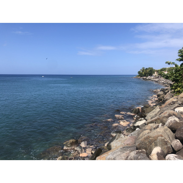 照片 瓜德罗普(Guadeloupe) 黑角(Black Point) 2021-02 18