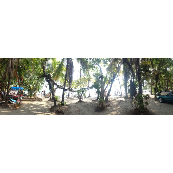 照片 哥斯达黎加(Costa Rica) 曼努埃尔安东尼奥(Manuel Antonio) 2015-03 305