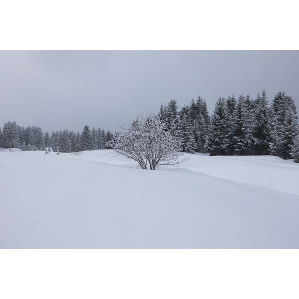 照片 法国(France) 三峡谷滑雪场(Les 3 Vallees) 2013-03 114