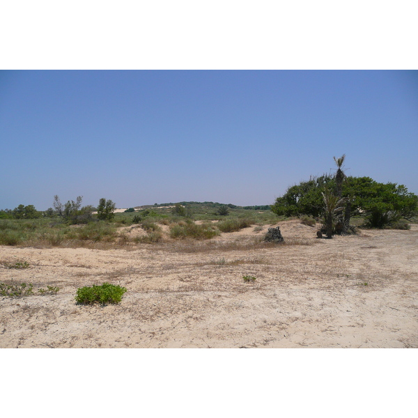 照片 以色列(Israel) 尼灿(Nitzan) 2007-06 71
