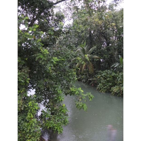 照片 哥斯达黎加(Costa Rica) 塔拉曼卡旧港(Puerto Viejo de Talamanca) 2015-03 122