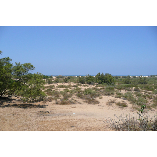 照片 以色列(Israel) 尼灿(Nitzan) 2007-06 107