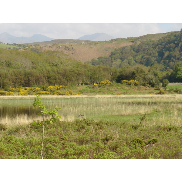 照片 爱尔兰(Ireland) 凯里郡(Kerry) 卡拉湖(Caragh Lake) 2004-05 22