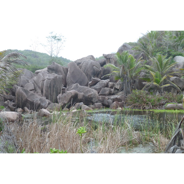 照片 塞舌尔(Seychelles) 拉迪格岛(La Digue) 2011-10 210