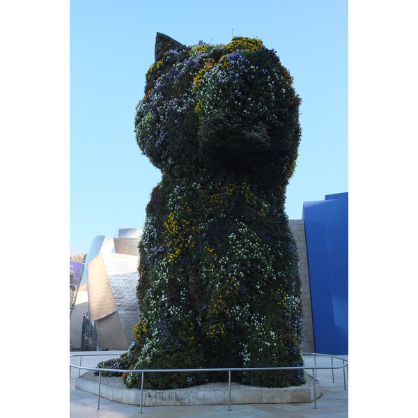 照片 西班牙(Spain) 毕尔巴鄂(Bilbao) 2013-01 17