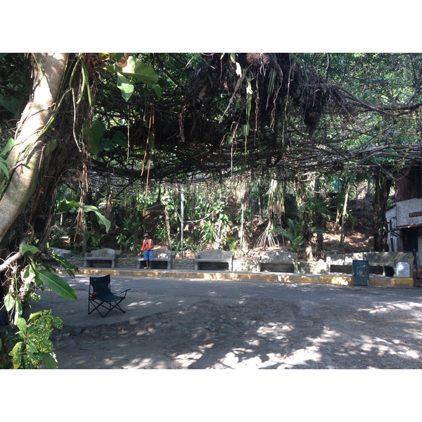 照片 哥斯达黎加(Costa Rica) 曼努埃尔安东尼奥(Manuel Antonio) 2015-03 332