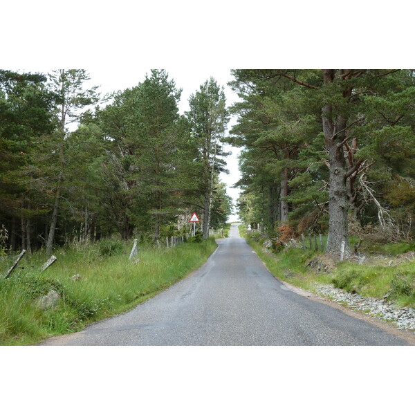照片 英国(United Kingdom) 凯恩戈姆山国家公园(Cairngorms National Park) 2011-07 33