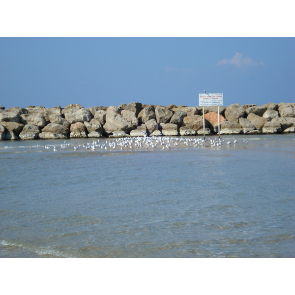 照片 以色列(Israel) 赫兹利亚(Herzliya) 2006-12 32