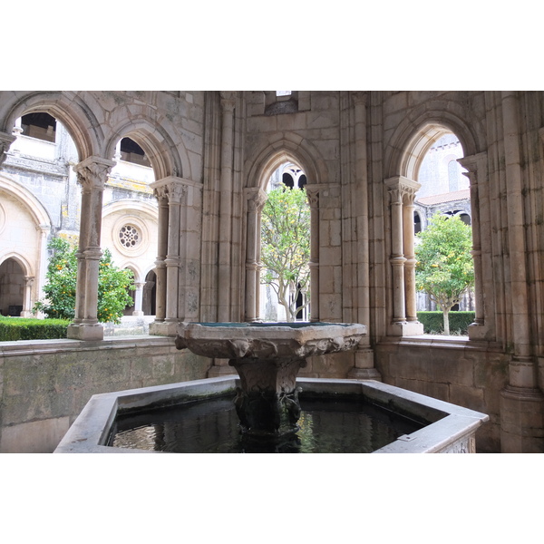 照片 葡萄牙(Portugal) 阿尔科巴萨(Alcobaca) 2013-01 6