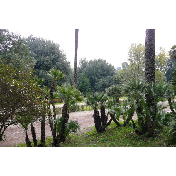 照片 意大利(Italy) 罗马(Rome) 多里亚·潘菲利别墅公园(Villa Doria Pamphili) 2007-11 24