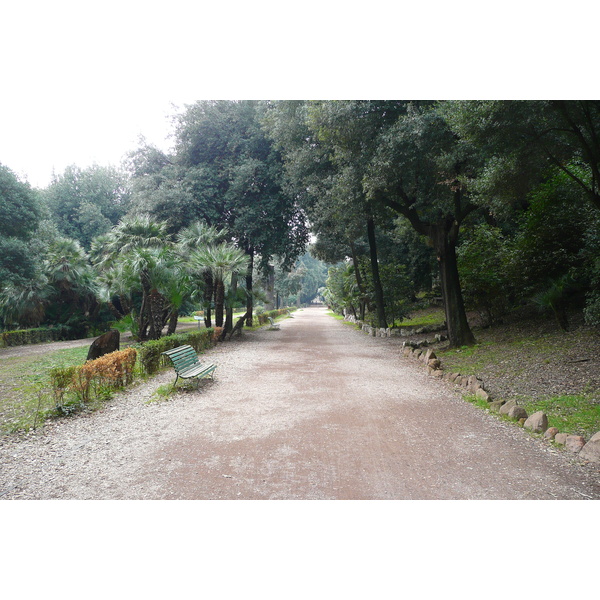 照片 意大利(Italy) 罗马(Rome) 多里亚·潘菲利别墅公园(Villa Doria Pamphili) 2007-11 5