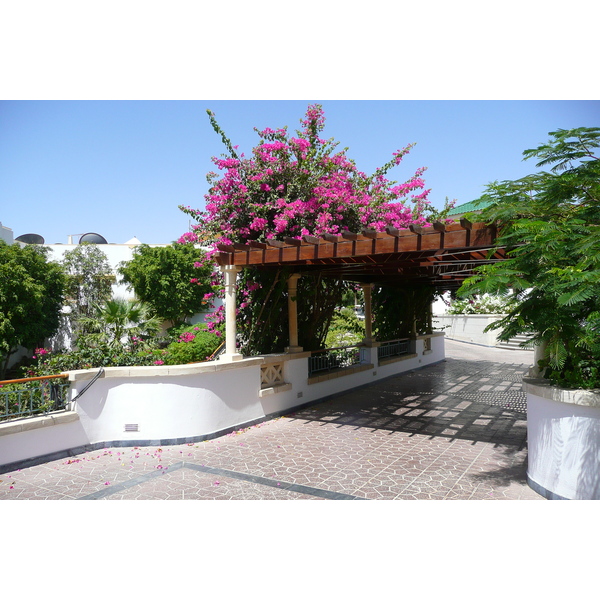 照片 埃及(Egypt) 沙姆沙伊赫(Sharm el Sheikh) 凯悦酒店(Hyatt Hotel) 2008-06 66