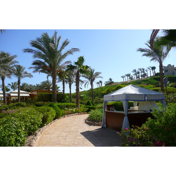 照片 埃及(Egypt) 沙姆沙伊赫(Sharm el Sheikh) 四季酒店(Four Seasons Hotel) 四季酒店海滩(Four Seasons Beach) 2008-06 21