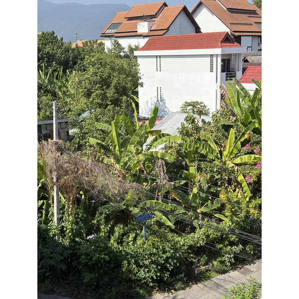 照片 泰国(Thailand) 清迈(Chiang Mai) KALM村(KALM Village) 2024-12 21