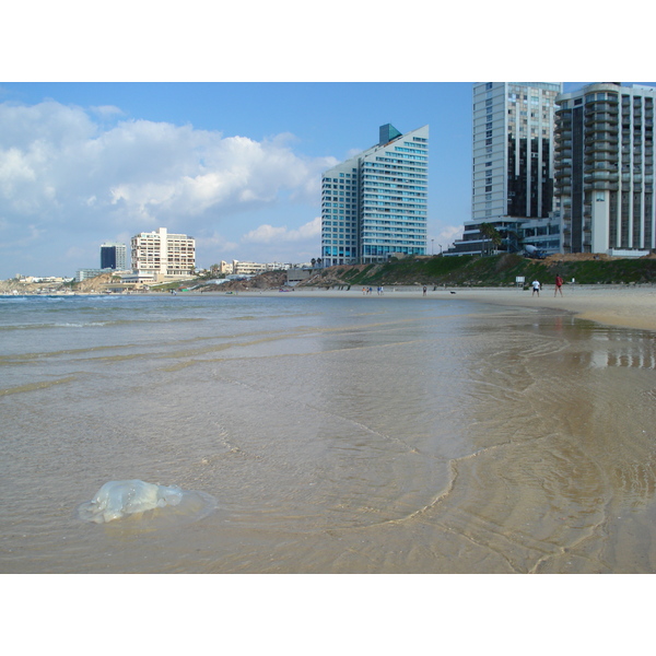 照片 以色列(Israel) 赫兹利亚(Herzliya) 2006-12 99