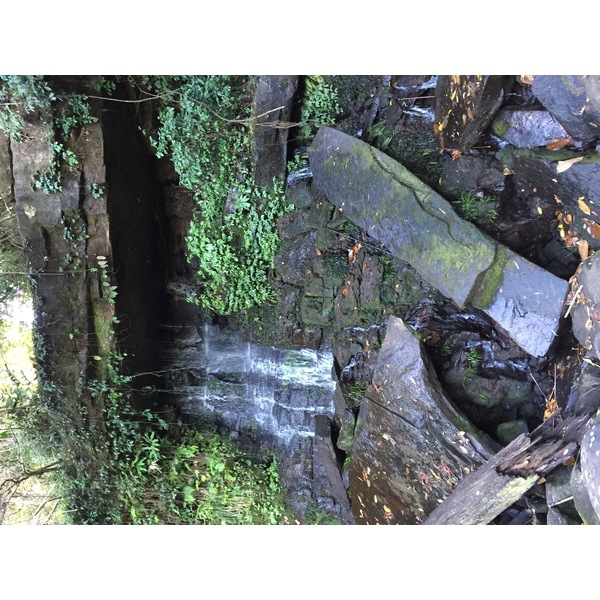 照片 泰国(Thailand) 普欣隆卡国家公园(Phu Hin Rong Kla National Park) 2014-12 266