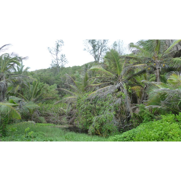 照片 塞舌尔(Seychelles) 拉迪格岛(La Digue) 2011-10 46