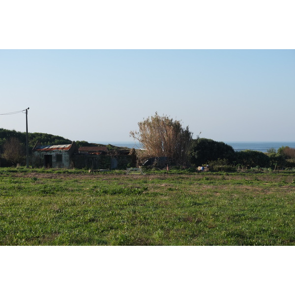 照片 葡萄牙(Portugal) 维亚纳堡(Viana do Castelo) 2013-01 143