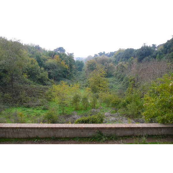 照片 意大利(Italy) 罗马(Rome) 多里亚·潘菲利别墅公园(Villa Doria Pamphili) 2007-11 51