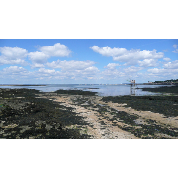 照片 法国(France) 普雷法耶(Prefailles) 圣吉尔达角至拉普雷(La pointe Saint Gildas to La Pree) 2007-08 58