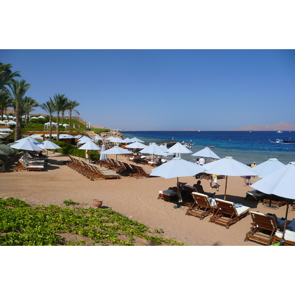 照片 埃及(Egypt) 沙姆沙伊赫(Sharm el Sheikh) 四季酒店(Four Seasons Hotel) 四季酒店海滩(Four Seasons Beach) 2008-06 12