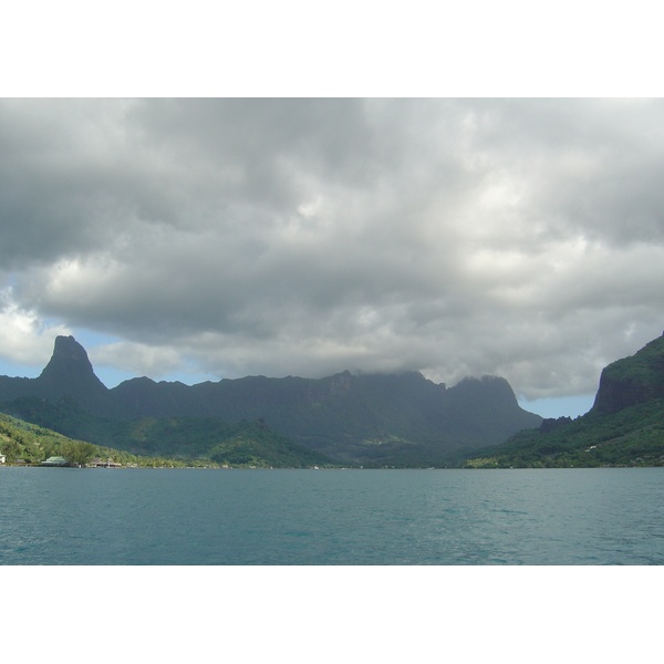 照片 波利尼西亚(Polynesia) 莫雷阿岛(Moorea) 2006-04 202