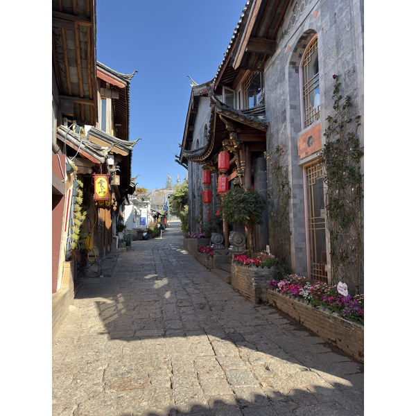 照片 中国(China) 丽江(Lijiang) 2026-01 40