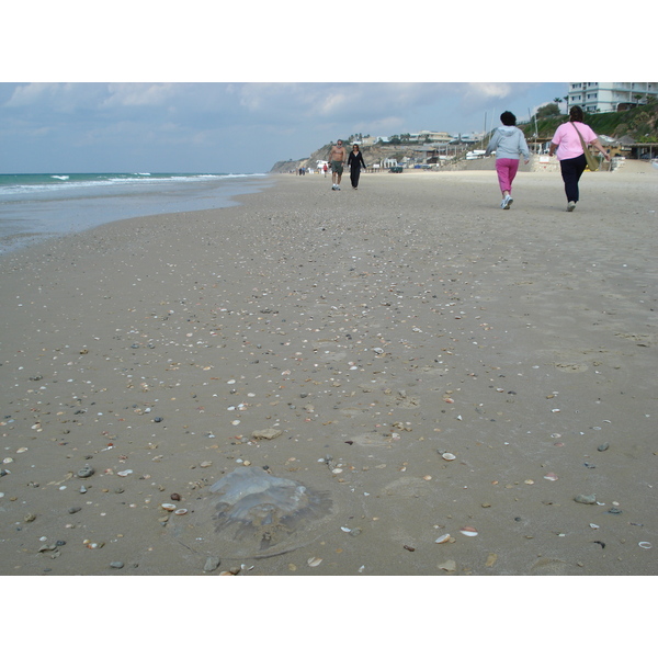 照片 以色列(Israel) 赫兹利亚(Herzliya) 2006-12 89