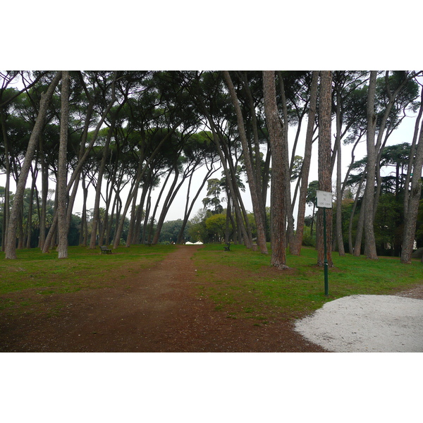 照片 意大利(Italy) 罗马(Rome) 多里亚·潘菲利别墅公园(Villa Doria Pamphili) 2007-11 78