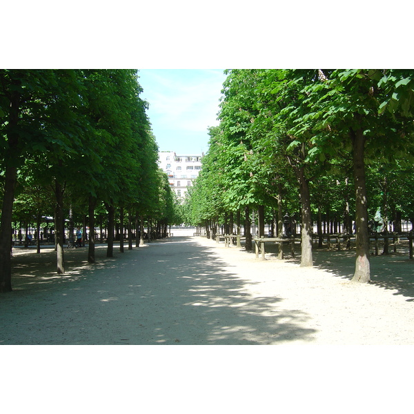 照片 法国(France) 巴黎(Paris) 杜乐丽花园(Garden of Tuileries) 2007-05 42