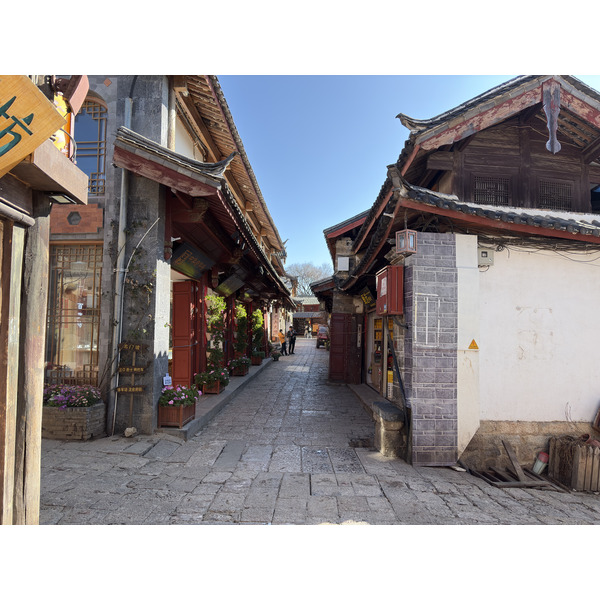 照片 中国(China) 丽江(Lijiang) 2026-01 174