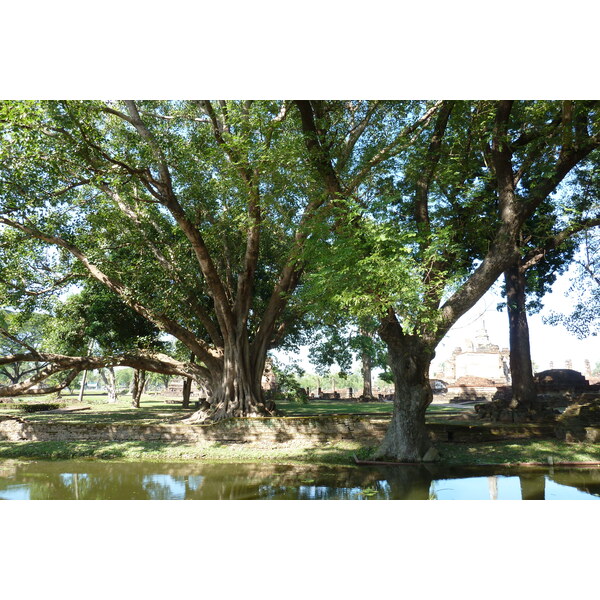 照片 泰国(Thailand) 素可泰(Sukhothai) 2010-12 84