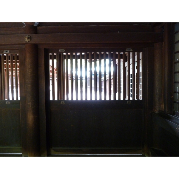 照片 日本(Japan) 东京(Tokyo) 代代木公园(Yoyogi Park) 2010-06 26