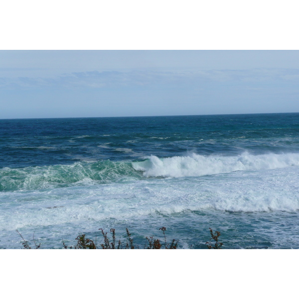 照片 南非(South Africa) 齐齐卡马国家公园(Tsitsikamma National Park) 2008-09 127