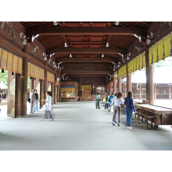 照片 日本(Japan) 东京(Tokyo) 代代木公园(Yoyogi Park) 2010-06 29