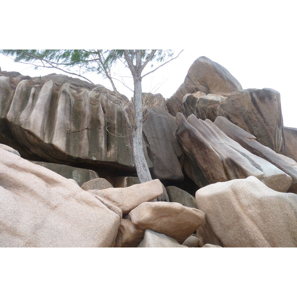 照片 塞舌尔(Seychelles) 拉迪格岛(La Digue) 2011-10 105