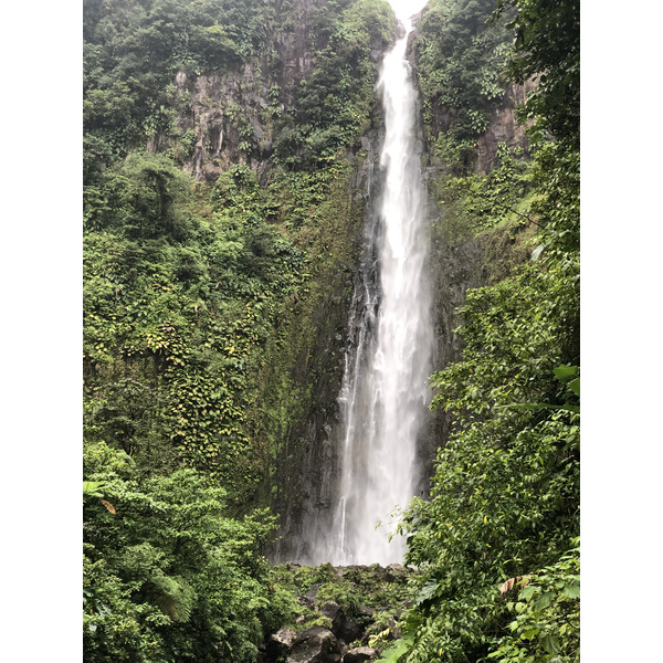 照片 瓜德罗普(Guadeloupe) 卡尔贝瀑布(Carbet Falls) 2021-02 51