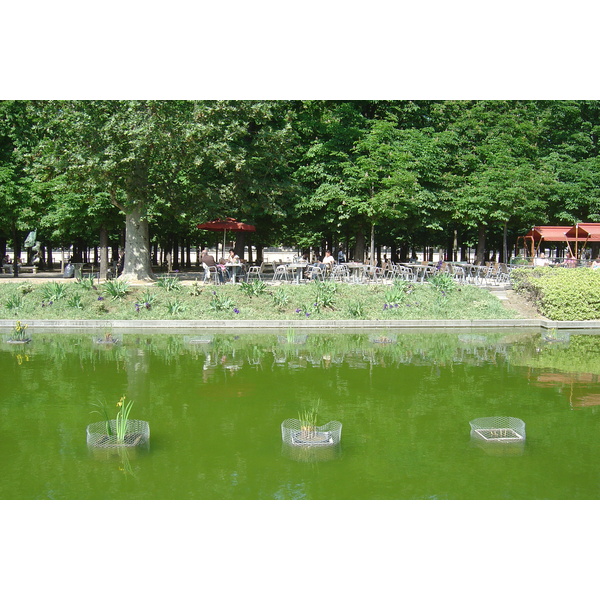 照片 法国(France) 巴黎(Paris) 杜乐丽花园(Garden of Tuileries) 2007-05 384