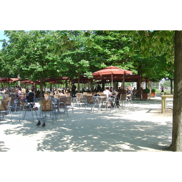 照片 法国(France) 巴黎(Paris) 杜乐丽花园(Garden of Tuileries) 2007-05 331