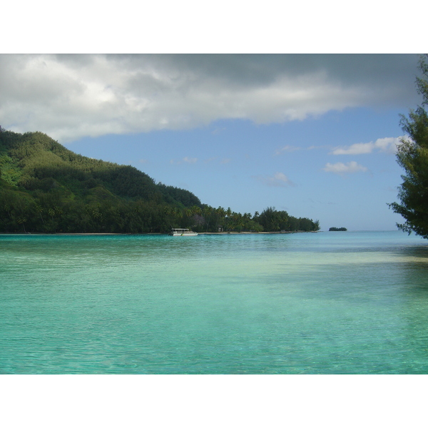照片 波利尼西亚(Polynesia) 莫雷阿岛(Moorea) 2006-04 13