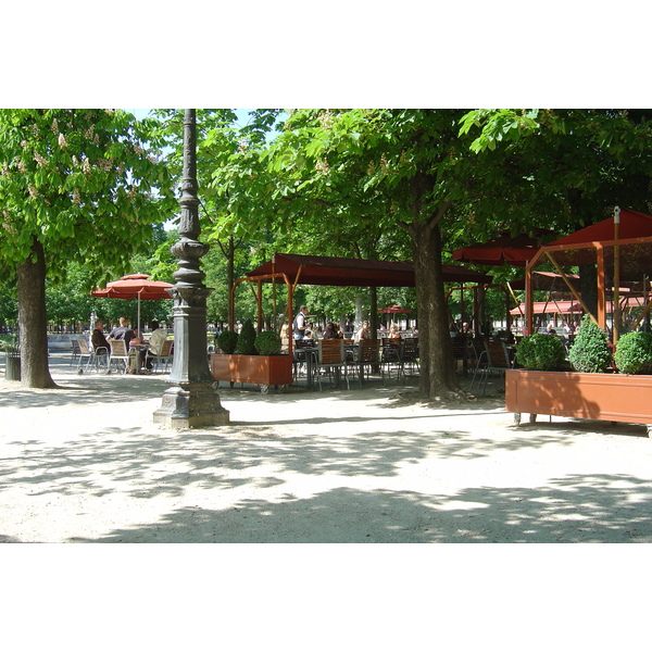 照片 法国(France) 巴黎(Paris) 杜乐丽花园(Garden of Tuileries) 2007-05 328