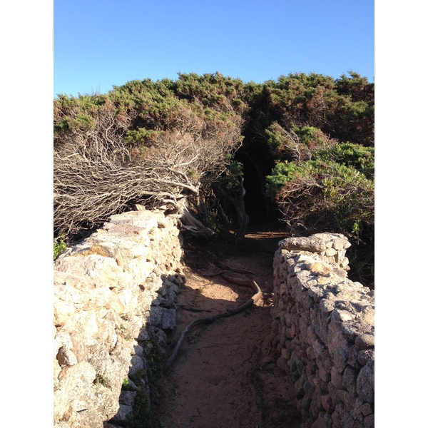 照片 意大利(Italy) 撒丁岛(Sardinia) 加卢拉波托贝洛(Portobello di Gallura) 2015-06 8