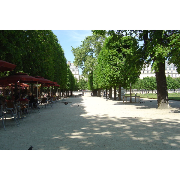 照片 法国(France) 巴黎(Paris) 杜乐丽花园(Garden of Tuileries) 2007-05 54