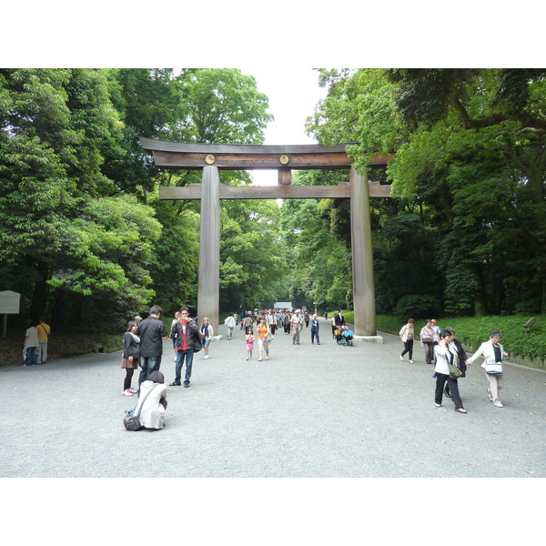 照片 日本(Japan) 东京(Tokyo) 代代木公园(Yoyogi Park) 2010-06 14