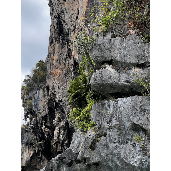 照片 泰国(Thailand) 甲米(Krabi) 2023-01 211