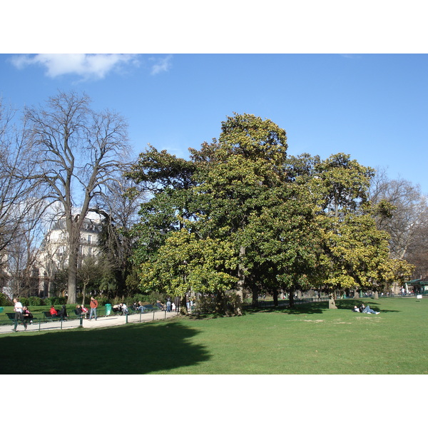 照片 法国(France) 巴黎(Paris) 蒙索公园(Monceau Garden) 2006-03 38