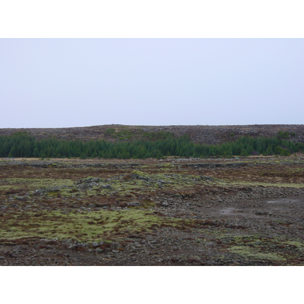 照片 冰岛(Iceland) 雷恰内斯半岛(Reykjanes) 2003-03 12