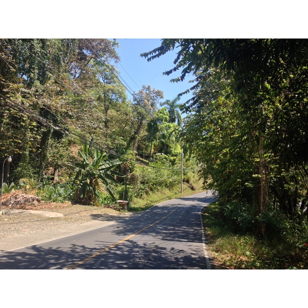 照片 哥斯达黎加(Costa Rica) 曼努埃尔安东尼奥(Manuel Antonio) 2015-03 150