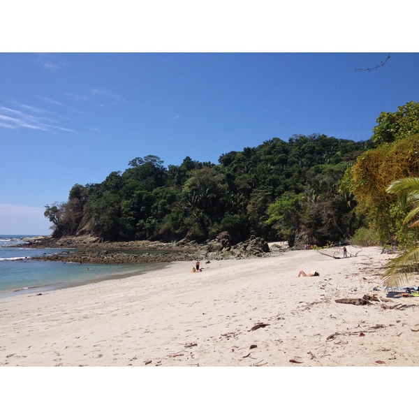 照片 哥斯达黎加(Costa Rica) 曼努埃尔安东尼奥(Manuel Antonio) 2015-03 163