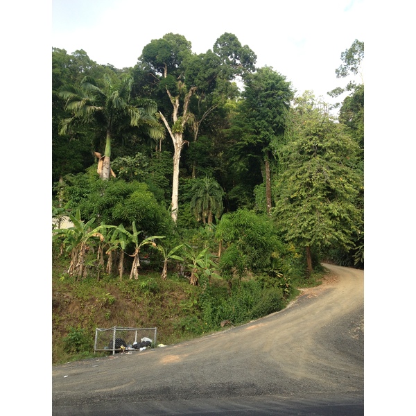照片 哥斯达黎加(Costa Rica) 多米尼卡尔(Dominical) 2015-03 14